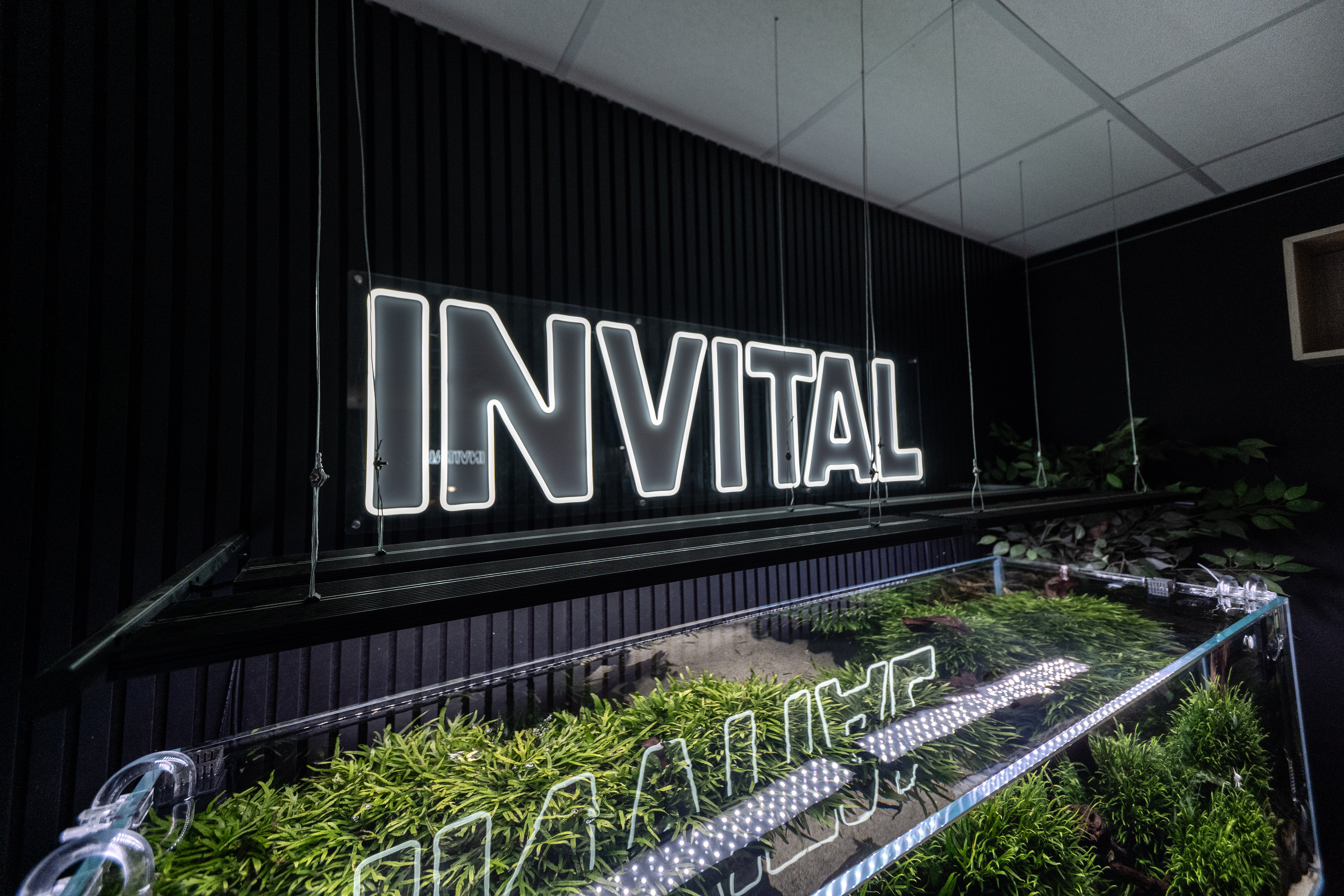 INVITAL-4