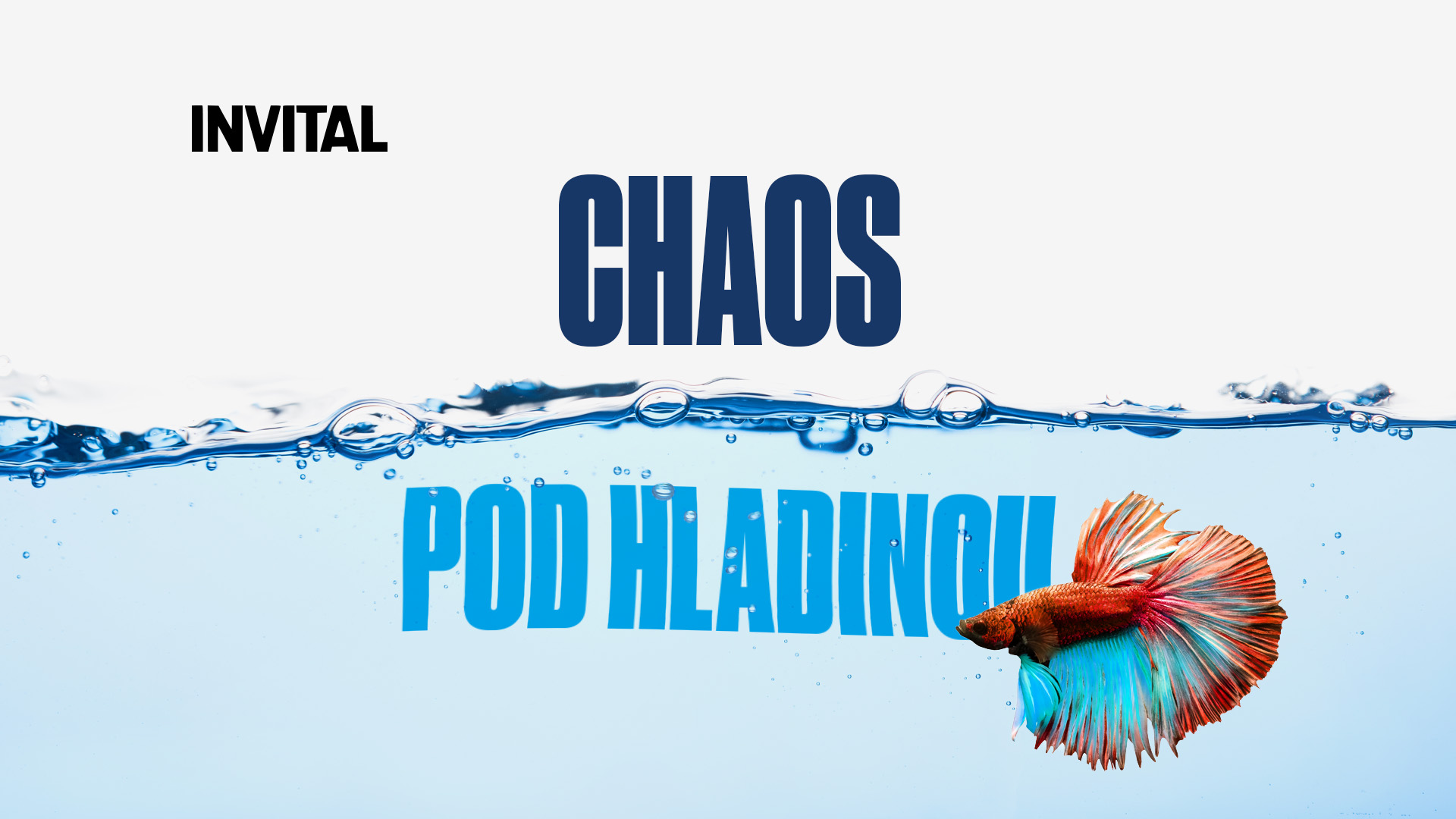 Obrázek článku „Od fungujícího skladu k řízenému systému.“