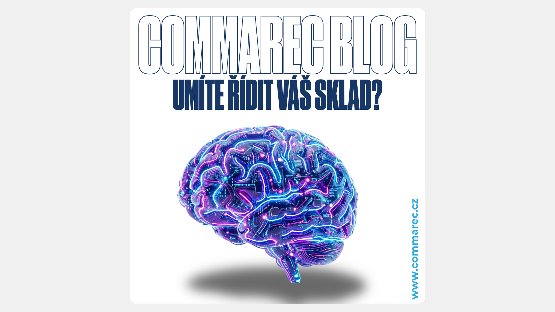 Obrázek článku „Digitální mozek skladu: Proč WMS systém není jen drahý Excel?“