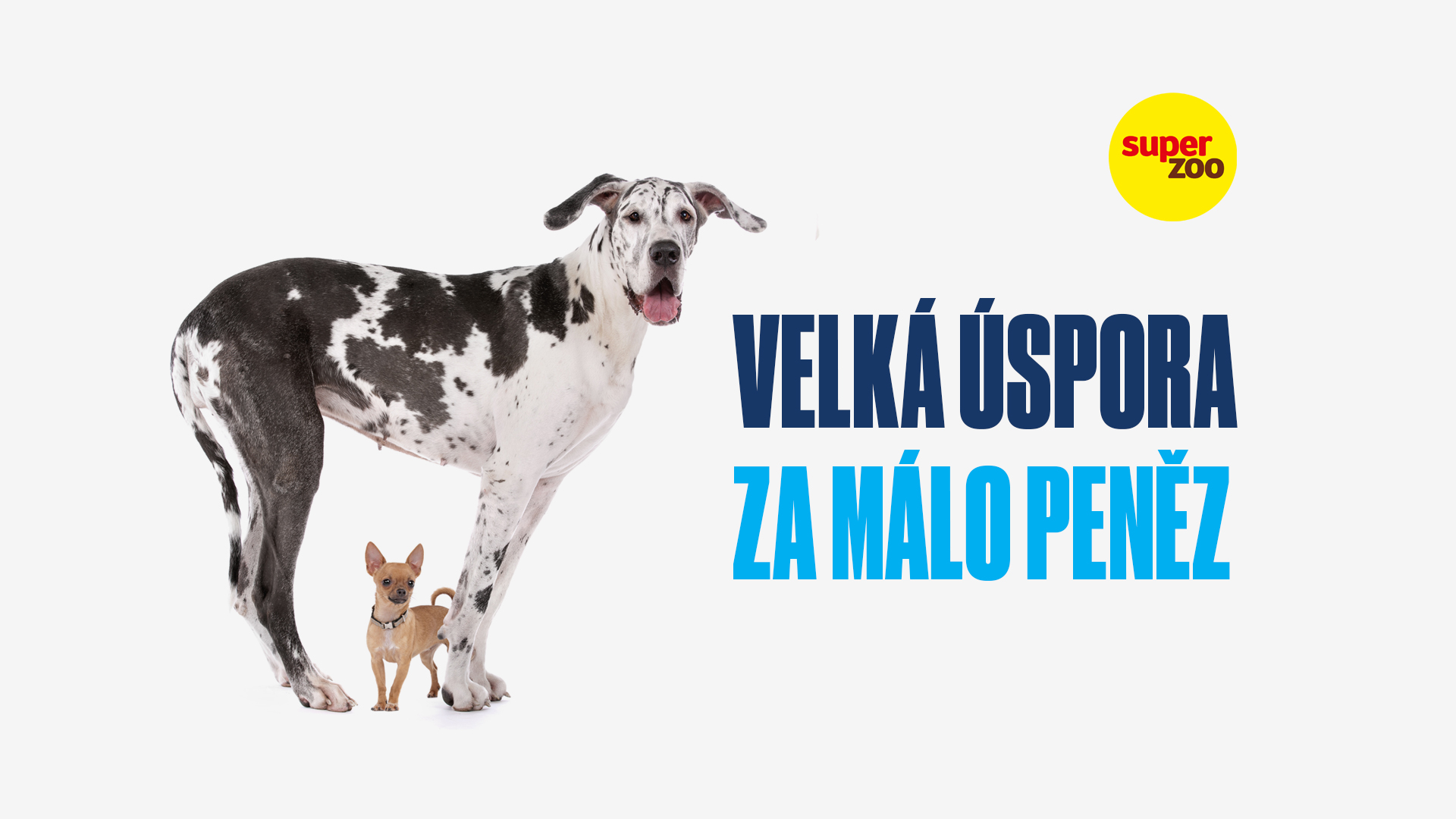 Obrázek článku „Jak Super zoo díky optimalizaci přepravy zboží může UŠETŘIT 61,5 MILIONU KČ za 3 roky“