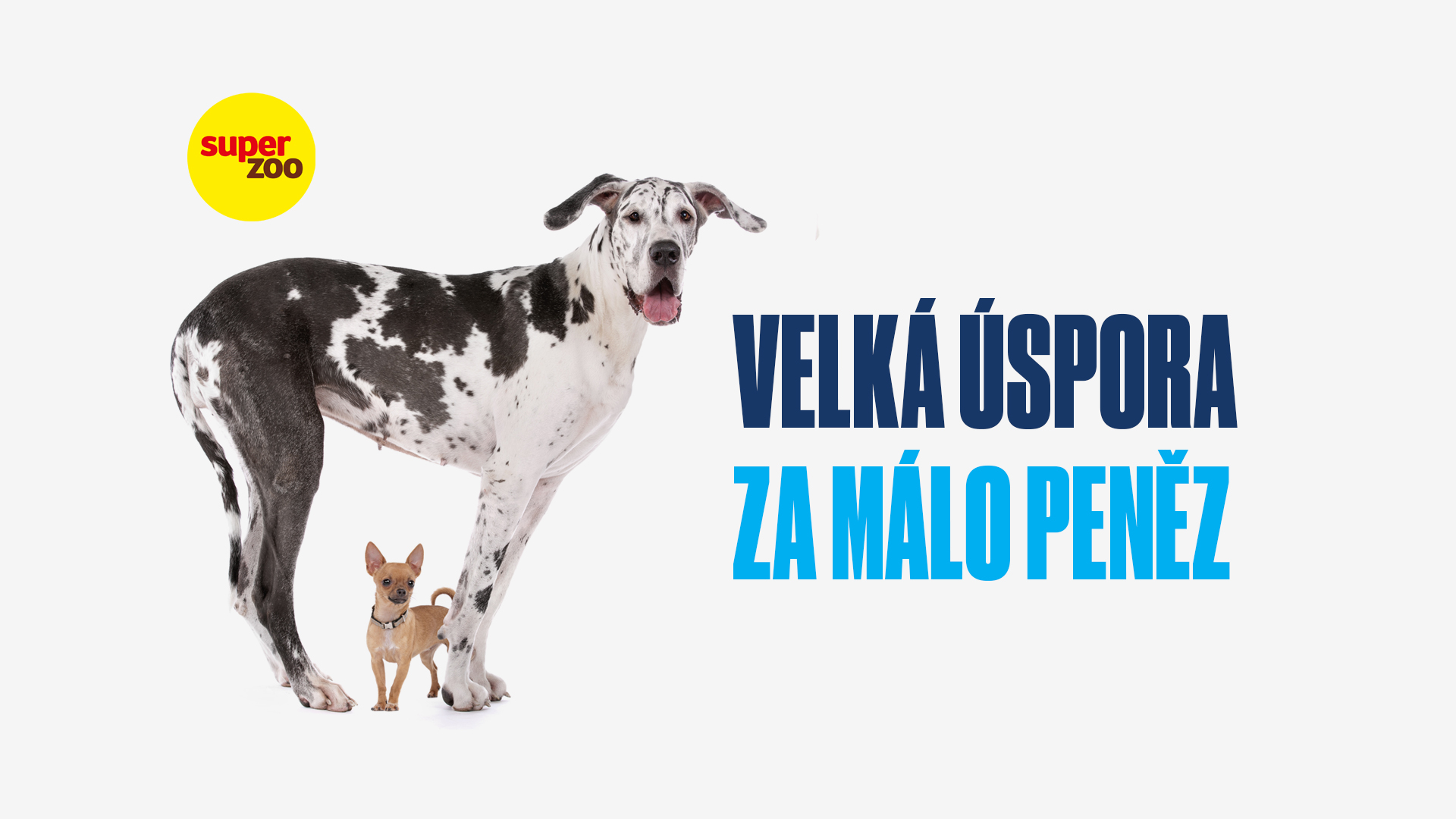 Obrázek článku „Jak Super zoo díky optimalizaci přepravy zboží může UŠETŘIT 61,5 MILIONU KČ za 3 roky“